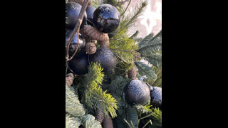 NikkyWeber livejasmin