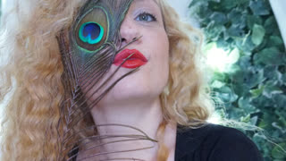 LilienSternus livejasmin